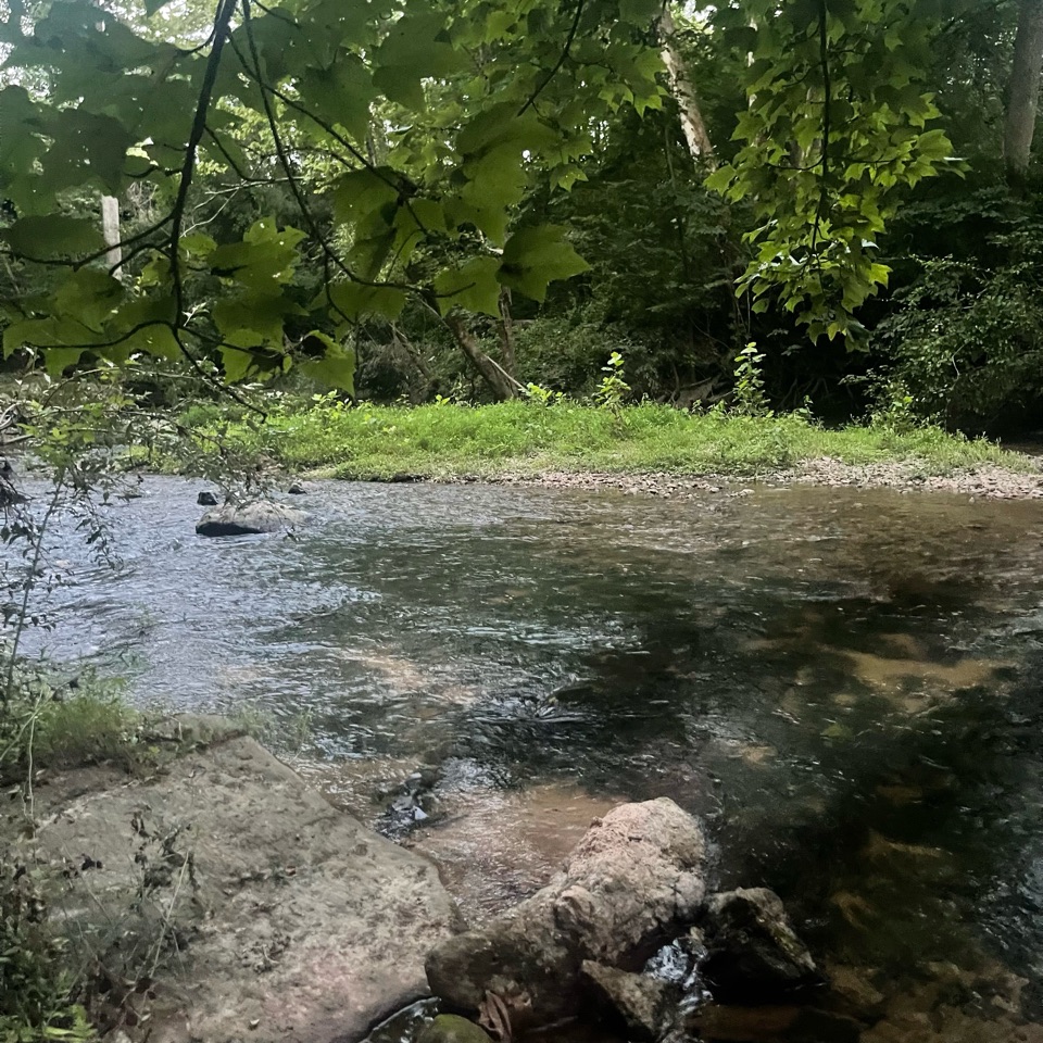 alexander makes a blog